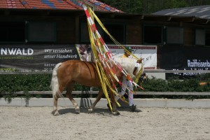 Flatterbänder