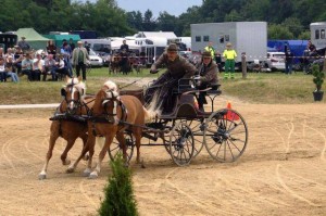 StPr. Heidi links mit StPr. Havanna rechts beim Hindernisfahren in Poppendorf 2016