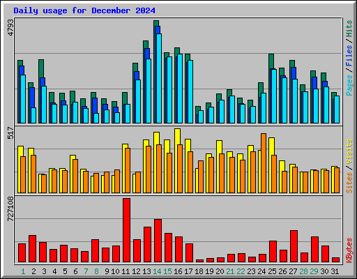 Daily usage for December 2024