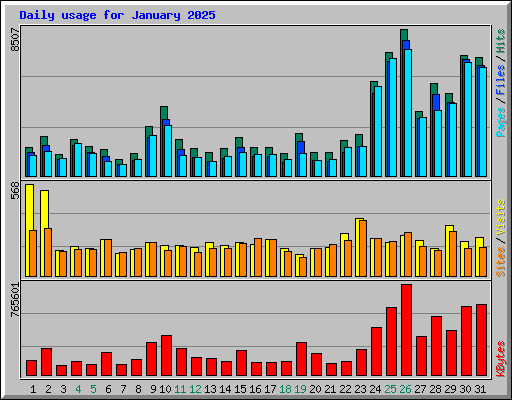 Daily usage for January 2025