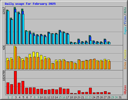 Daily usage for February 2025