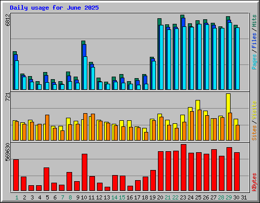 Daily usage for June 2025