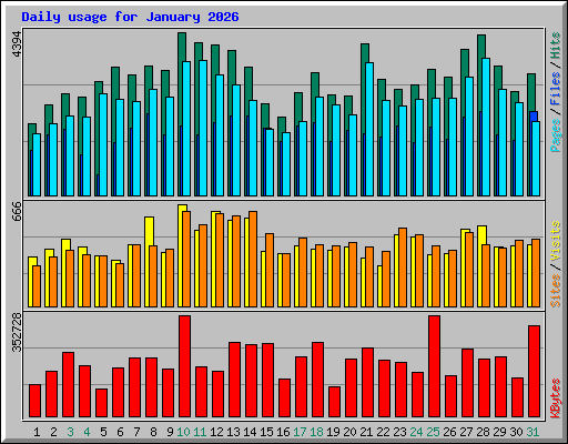 Daily usage for January 2026
