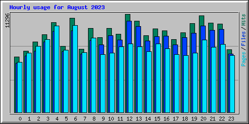 Hourly usage for August 2023