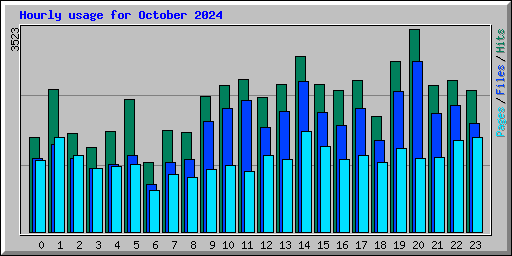 Hourly usage for October 2024