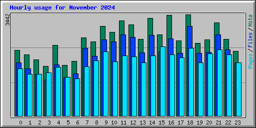 Hourly usage for November 2024