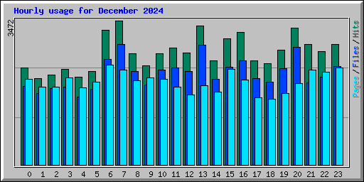 Hourly usage for December 2024