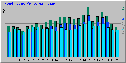 Hourly usage for January 2025