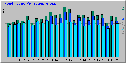Hourly usage for February 2025