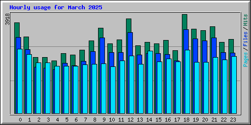 Hourly usage for March 2025