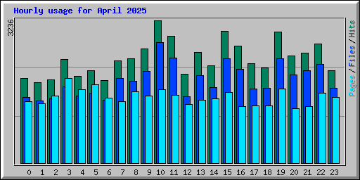 Hourly usage for April 2025