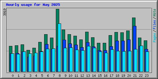 Hourly usage for May 2025