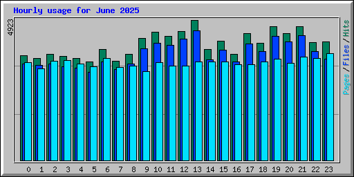 Hourly usage for June 2025