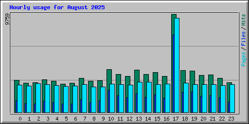 Hourly usage for August 2025
