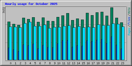 Hourly usage for October 2025