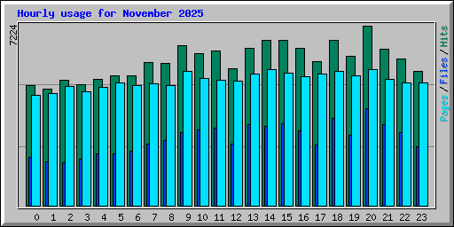 Hourly usage for November 2025