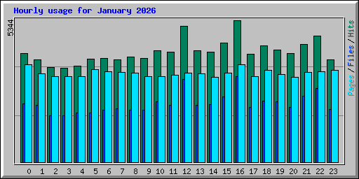 Hourly usage for January 2026
