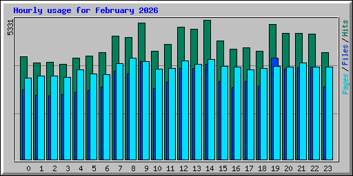 Hourly usage for February 2026