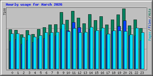 Hourly usage for March 2026