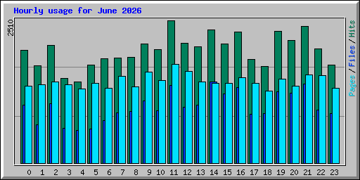 Hourly usage for June 2026