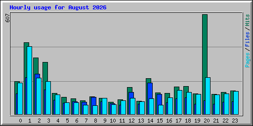 Hourly usage for August 2026